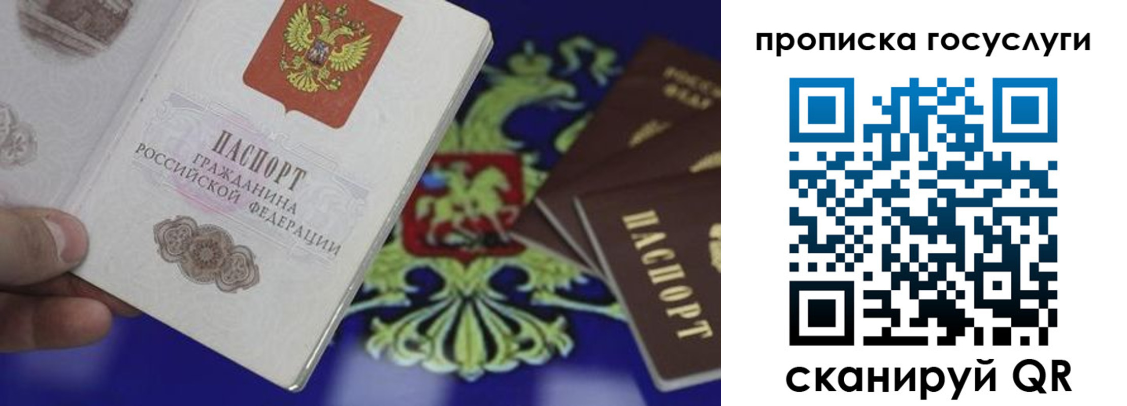 прописка для школы в Кремёнках